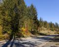 8203 Merlot Peak Drive image 12